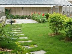 信譽好的屋頂綠化,提供專業的屋頂綠化-福州御景園環?？萍继峁┬抛u好的屋頂綠化,提供專業的屋頂綠化的相關介紹、產品、服務、圖片、價格庭院設計、福州植物墻、福州屋頂綠化、福州墻體美化裝飾、福州仿真植物墻、福州辦公綠化、