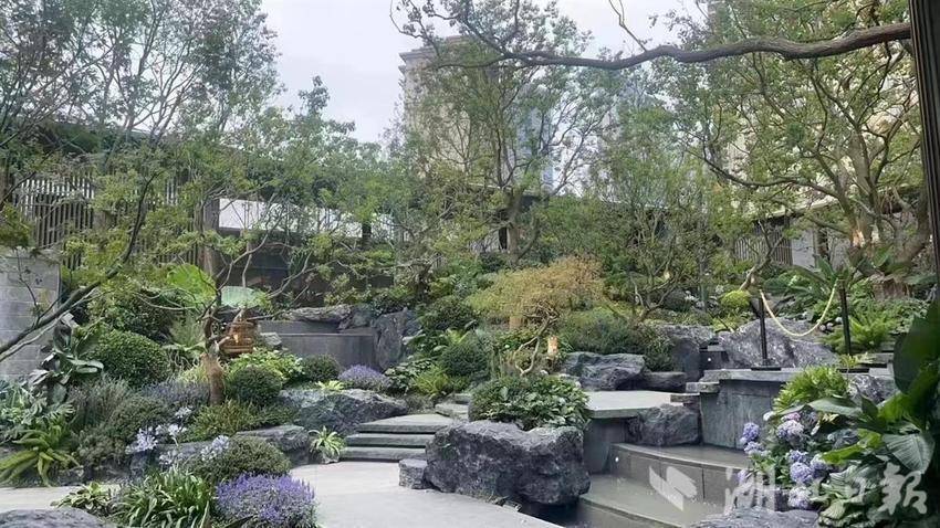 大陽臺成標配,公共區域競速迭代